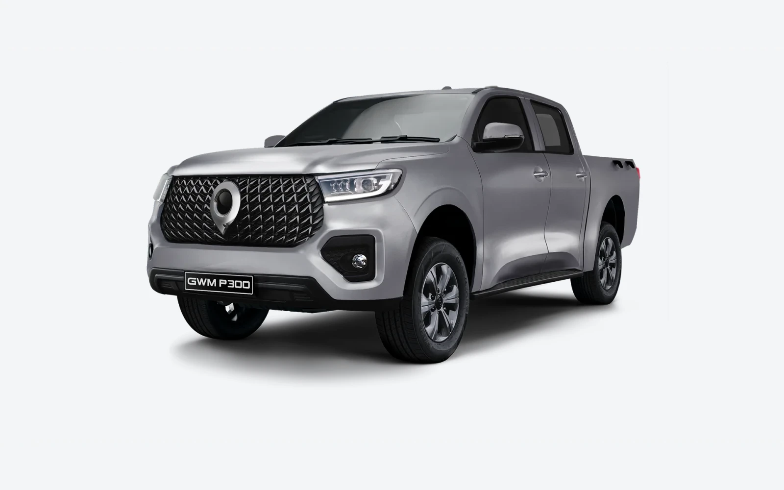 P-Series P300 SX — model imagery